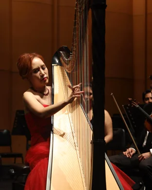 Vam Symphony Orchestra Vancouver