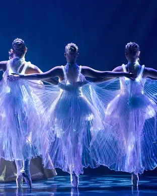 Ballet of Lights Portland
