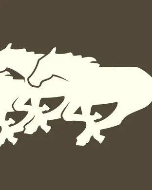 Calgary Stampeders Vancouver