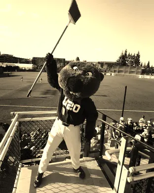 Oregon State Beavers Baseball Hillsboro