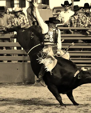 Rodeo Portland