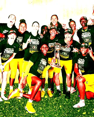 Seattle Storm Portland