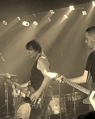 The Chameleons